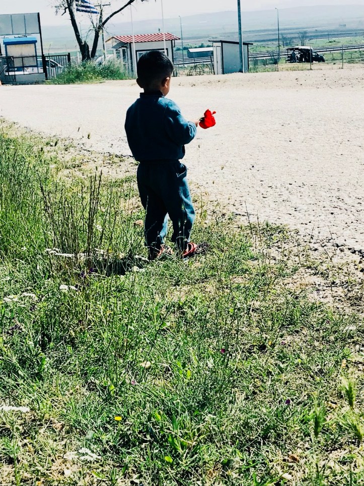 01399c9d-8c3b-4bbf-9935-cdb9d81f6ce4