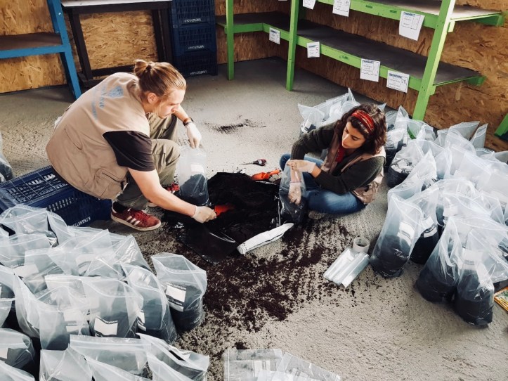 ae1dc33d-243e-4f20-9501-9fdd14a8b6fe